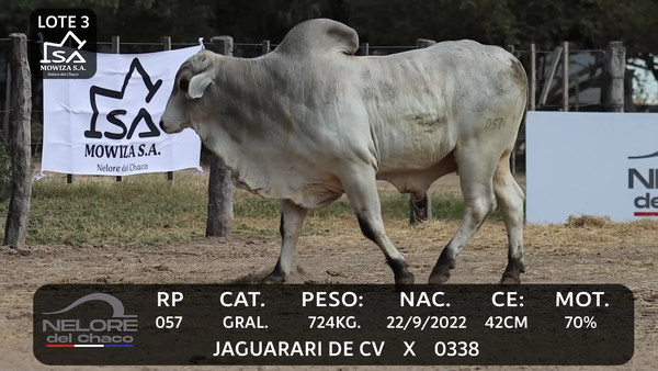 Lote LOTE 3
