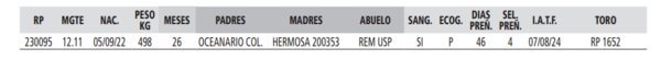 Lote LOTE 40