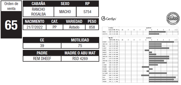 Lote LOTE 65