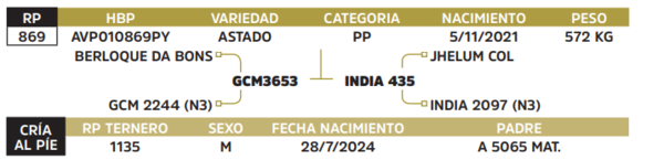 Lote LOTE 58