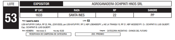 Lote LOTE 53