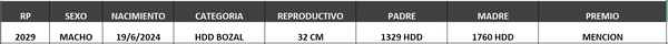 Lote LOTE 61- BOZAL