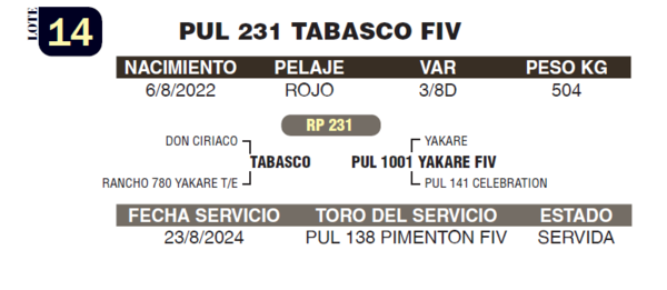 Lote LOTE 14