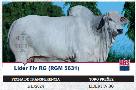 Lote LOTE 3 - PREÑECES