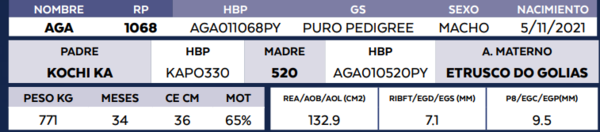 Lote LOTE 74