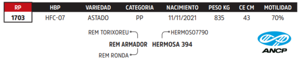 Lote LOTE 27