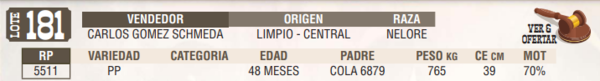 Lote LOTE 181 - EN VIVO