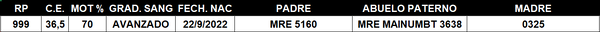 Lote LOTE 8