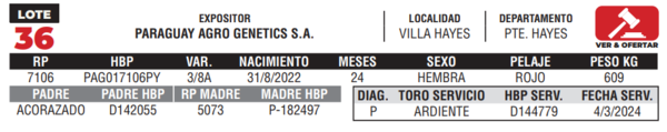 Lote LOTE 36- CAMPO