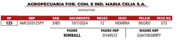 Lote LOTE 25
