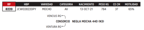 Lote LOTE 61