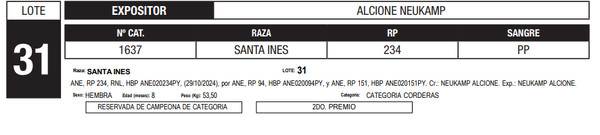 Lote LOTE 31