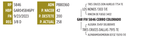 Lote LOTE 33