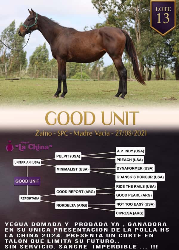 Lote GOOD UNIT