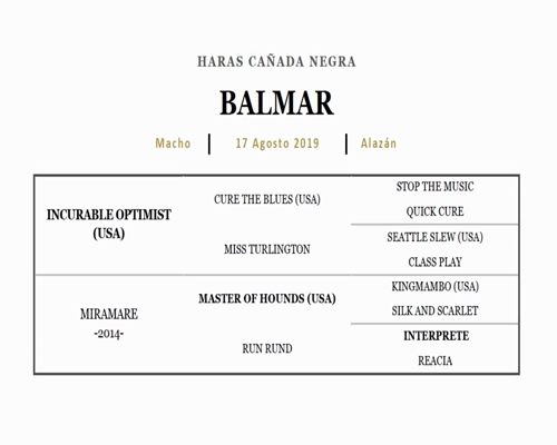 Lote BALMAR (INCURABLE OPTIMIST - MIRAMARE)