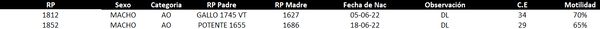 Lote LOTE 19