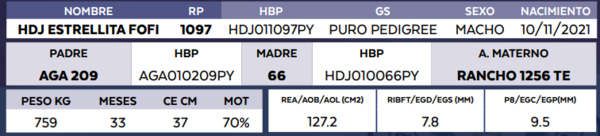 Lote LOTE 76