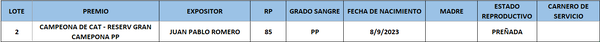 Lote LOTE 2