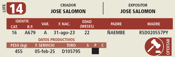 Lote LOTE 14