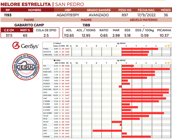 Lote LOTE 1
