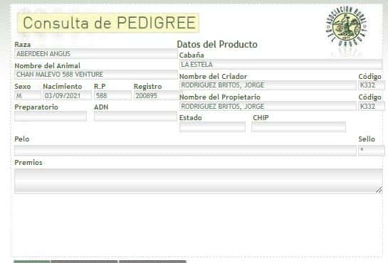 Lote TORO PI - RP 588
