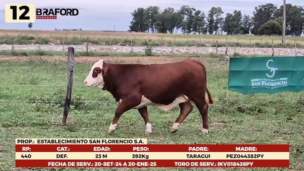 Lote LOTE 12