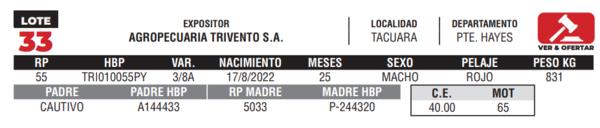 Lote LOTE 33- CAMPO