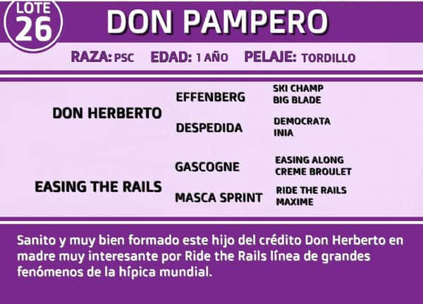 Lote DON PAMPERO