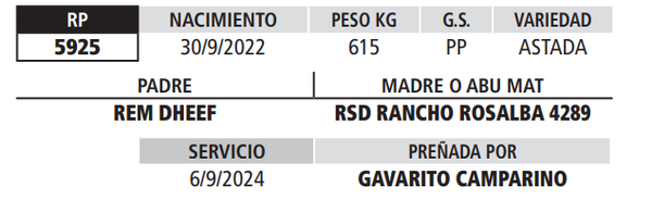 Lote LOTE 29