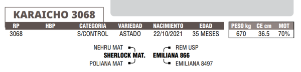 Lote LOTE 40