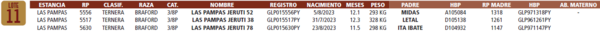 Lote LOTE 11