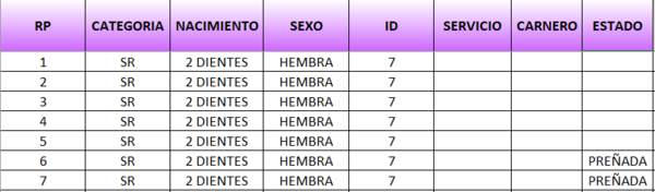 Lote LOTE 4