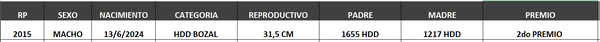Lote LOTE 5- BOZAL