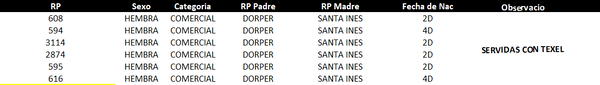 Lote LOTE 56
