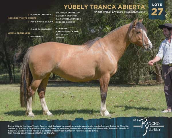Lote Yubely Tranca Abierta