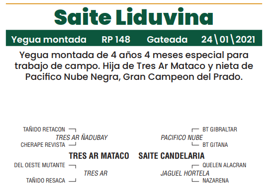 Lote LOTE 3