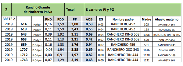Lote 8 carneros PI y PO