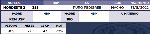 Lote LOTE 62