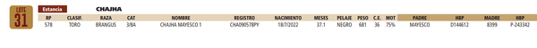 Lote LOTE 31