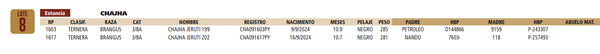 Lote LOTE 8