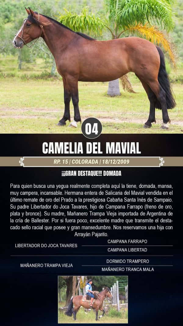 Lote Camelia del Mavial