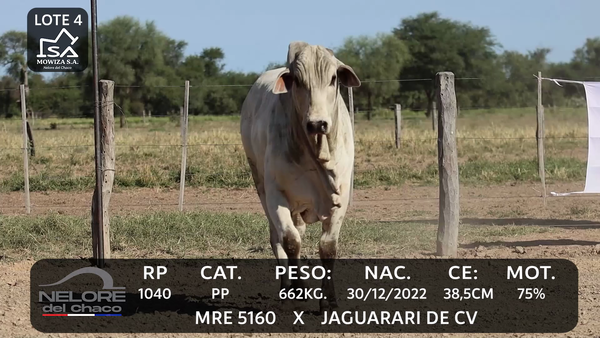 Lote LOTE 4