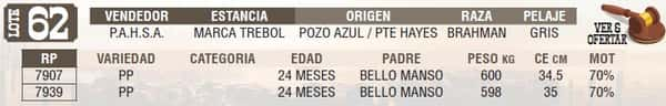 Lote LOTE 62 - EN VIVO