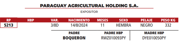 Lote LOTE 16