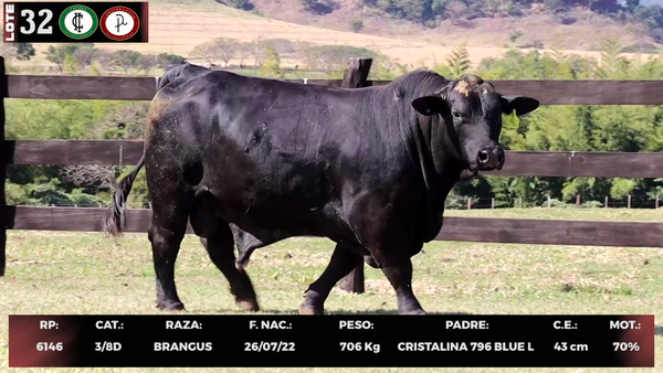 Lote LOTE 32