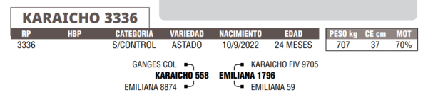 Lote LOTE 33