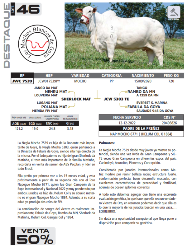 Lote LOTE 46