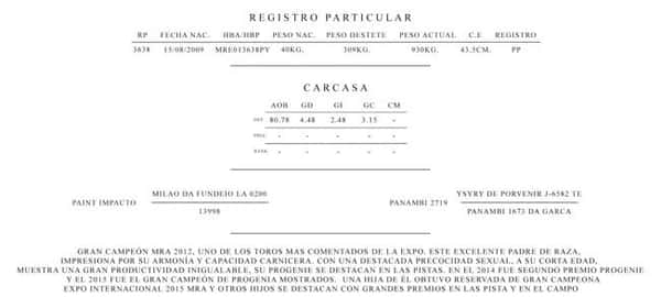 Lote PREÑEZ Nelore a Bozal Expo Internacional 2022 - Lote 5