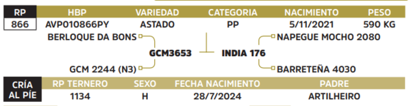 Lote LOTE 59