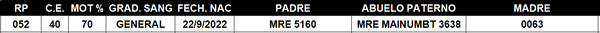 Lote LOTE 5